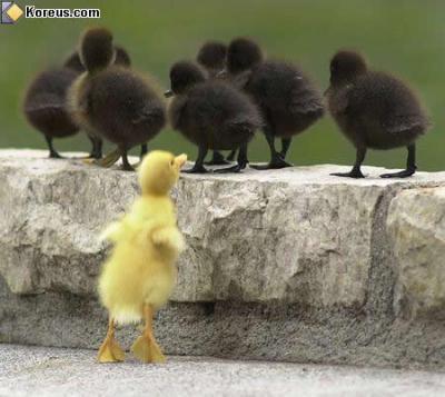 le racisme